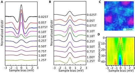 Figure 3 From Majorana Mode In Vortex Core Of Bi2Te3 NbSe2 Topological