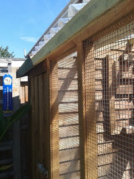 bird aviary