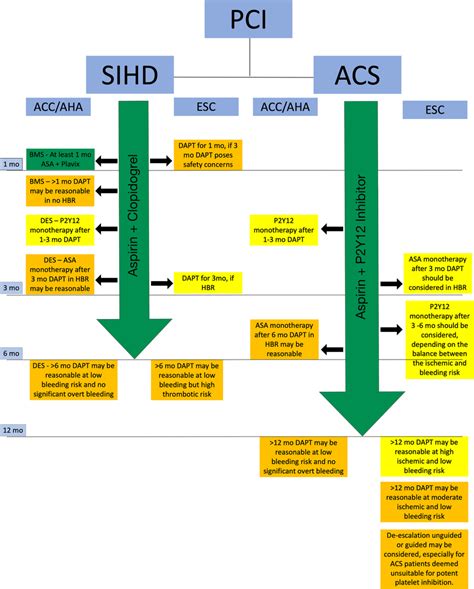 Antithrombotic Strategies According To The American College Of