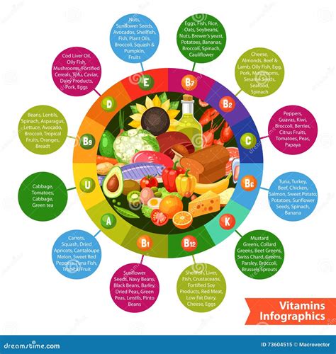 Food Products Vitamin Infographics Stock Vector Illustration Of Info