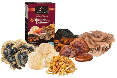 Introducing Mushroom Wonders By Bravo Tea Bravo Tea