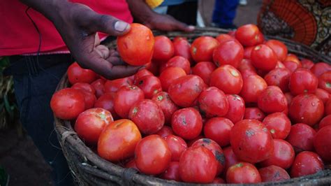 Socio Economic Impacts Of Tomato Post Harvest Losses Phl On Women