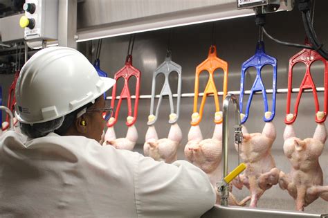 Basics Of Labeling Food Safety And Inspection Service