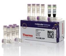 Fastdigest Value Pack Thermo Fisher Scientific De