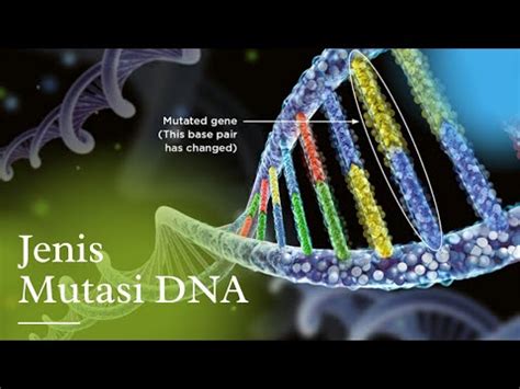 Jenis Mutasi Genetik DNA YouTube