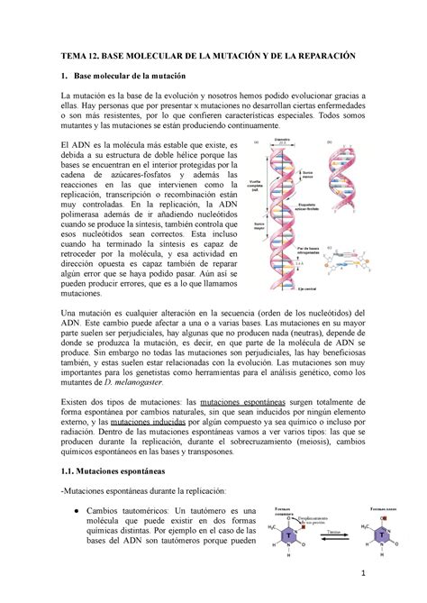 Tema 12 Base molecular de la mutación y de la reparación TEMA 12