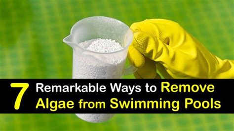 Removing Pool Algae Tricks For Cleaning Algae From Swimming Pools