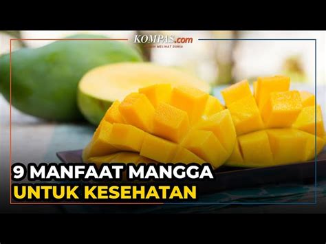 Temukan Manfaat Buah Mangga Yang Jarang Diketahui Solider