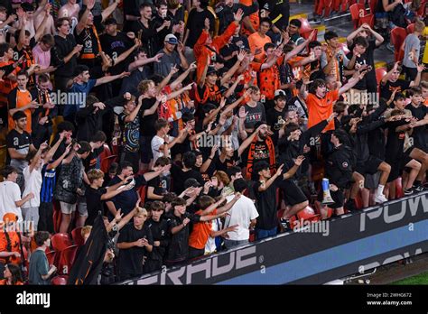 Brisbane Roar fans celebrate win at round 16 of the A-League mens ...