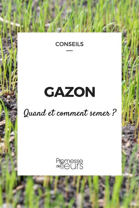 Gazon Pelouse Quand Et Comment Semer Promesse De Fleurs