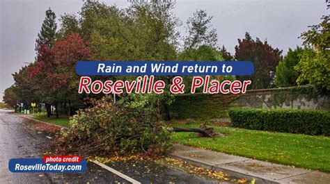 Roseville rocked with heavy rains and windy weather - Roseville Today