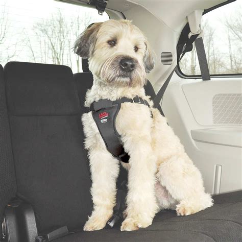 Easy Rider Car Harness for Dogs X-Large | UPCO Pet Supplies