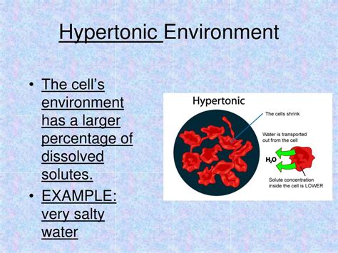 Ppt Cell Processes Powerpoint Presentation Free Download Id2096213