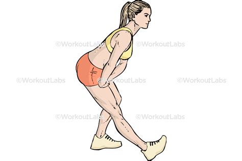 Standing Hamstring Stretch – WorkoutLabs Exercise Guide