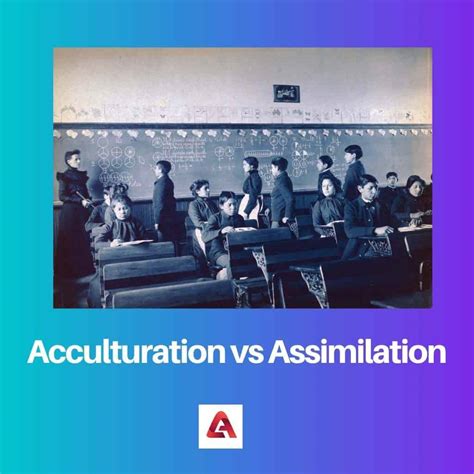 Acculturation vs Assimilation: Difference and Comparison