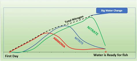 How To Cycle A Fish Tank Fast Step By Step