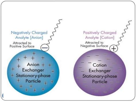 Protein Fractionation