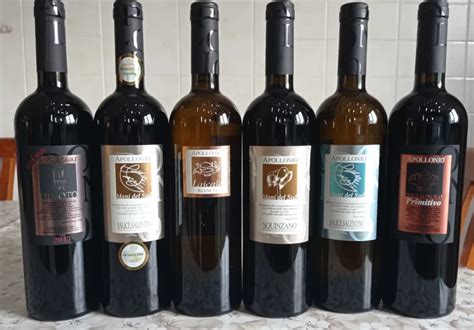 I Vini Di Apollonio Nel Salento