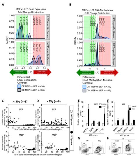 Age Related Gene Expression In Luminal Epithelial Cells Is Driven By A