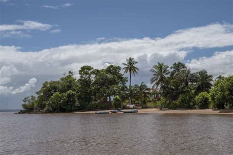 A Day on the Essequibo River, Guyana - The Crowded Planet