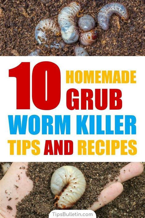 Killing Grub Worms Naturally 10 Homemade Grub Worm Killer Tips