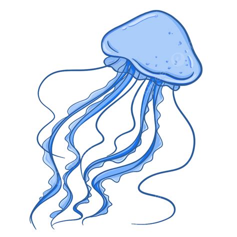 Jellyfish PNG Transparent, Jellyfish, Marine Life, Mushroom Jellyfish ...