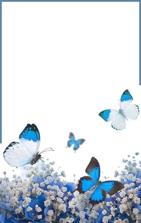 Blue Butterfly Wallpaper Butterfly Flowers Paisley Wallpaper Blue