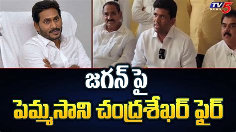 Guntur TDP MP Candidate Pemmasani Chandrasekhar Fires On CM YS Jagan