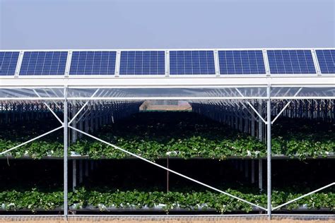 Why Invest In A Photovoltaic Greenhouse Seize Sach