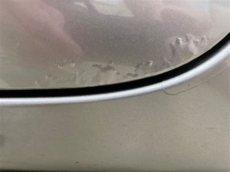 2017 Chrysler Pacifica Paint Bubblingrusting 17 Complaints