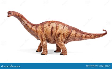 Apatosaurus Dinosaurs Toy Isolated On White Background With Clipping Path Stock Image Image