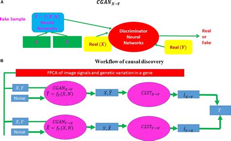 Frontiers Deep Feature Selection And Causal Analysis Of Alzheimers