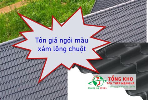 Tôn Giả Ngói Màu Xám Lông Chuột Rẻ Nhất 2024 Giảm 3 7