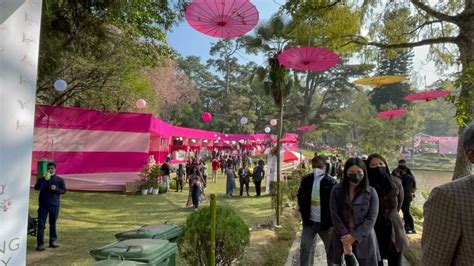 Shillong Cherry Blossom Festival 2024 Schedule - Shina Dorolisa