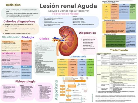 Lesión renal aguda LRA paola acevedo uDocz