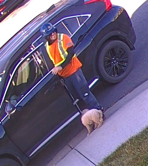 Calgary Police On Twitter We Are Seeking Assistance To Identify A