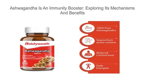 Ashwagandha Is An Immunity Booster: Exploring Its Mechanisms And Benefits by Baidyanathayurved ...