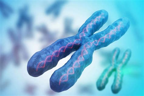 Autoimmune conditions linked to reactivated X chromosome genes