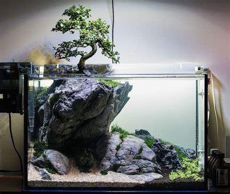 Bonsai Tree In Nature Style Aquarium Just Beautiful Jardin Bonsaïs Aquarium Décoration