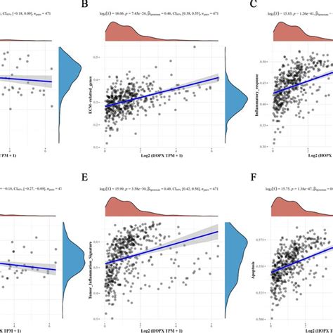 Hopx Inhibits Proliferation Migration And Invasion And Induces