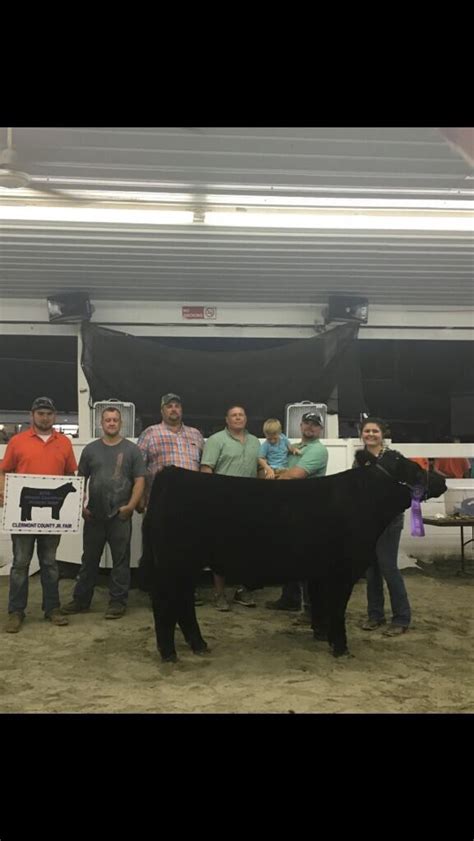 Grand champion steer Clermont county fair Ohio | Lautner Farms