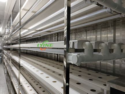 Lyine Group Ft Nft System Container Farm Automated Intelligent