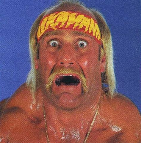 Hulk Hogan 