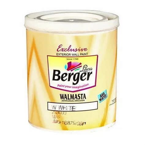 Berger Walmasta Antifungal Exterior Wall Paint At Rs Litre Mumbai