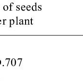 Seed And Pod Traits For Plants Of Vicia Grandiflora Grown Under Two