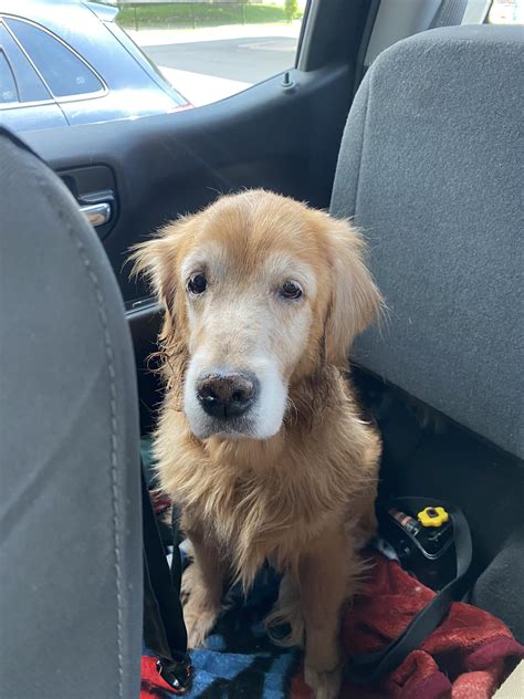 Buyers are stunned by the lack of houses for sale beckenham today 1