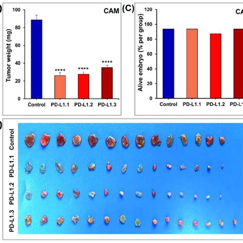 Impact Of Pd L Knockout On Tumor Growth In Chick Embryo Cam A Tumor