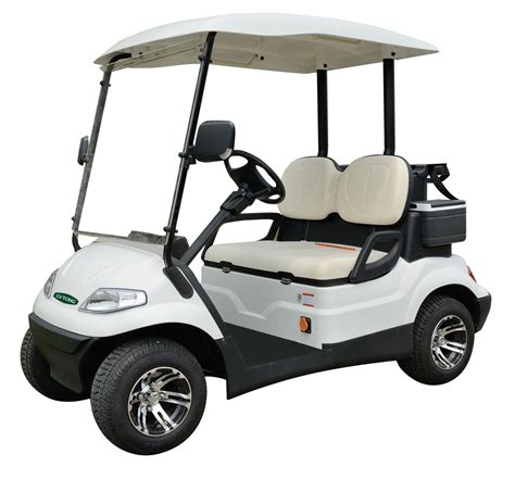 2 Seater Electric Golf Car Indobuggy