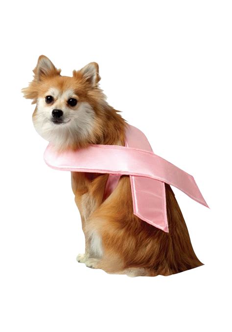 Pink Ribbon Dog Costume