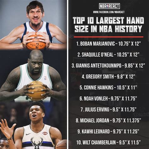 NBA REACT - Top 10 Largest Hand Size in NBA history: 1. Boban